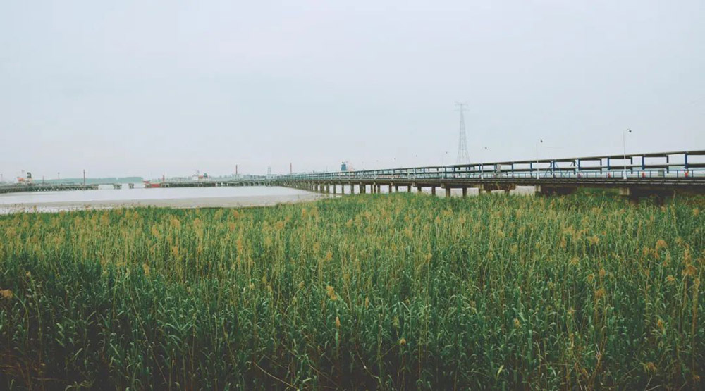 CA88��(�й���) - Ψһ�ٷ���վ